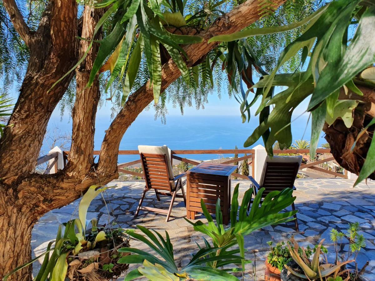 Bungalows Aldani ติคาราเฟ ภายนอก รูปภาพ